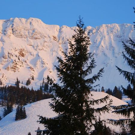 Ferienwohnung FeWo Heitmann Oberjoch Exterior foto