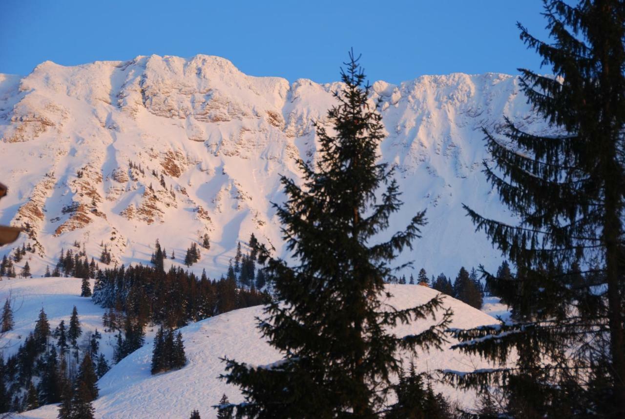 Ferienwohnung FeWo Heitmann Oberjoch Exterior foto