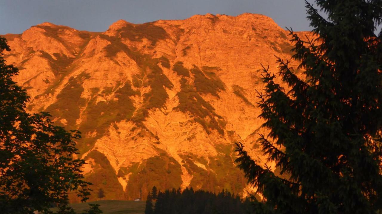 Ferienwohnung FeWo Heitmann Oberjoch Exterior foto